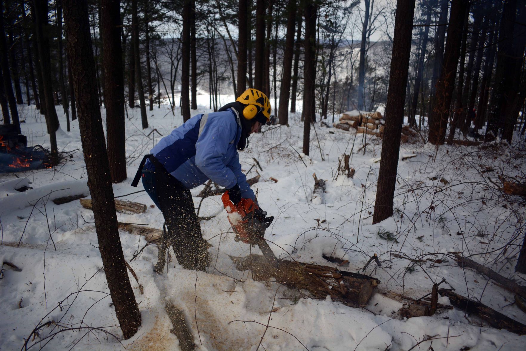 Devil's Lake east bluff stewardship work